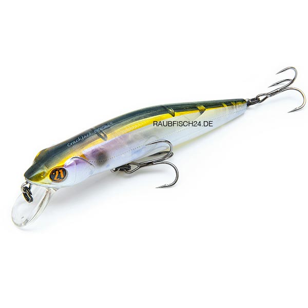 Pontoon21 CrackJack 98F-SR 005 Crash HG Wakasagi