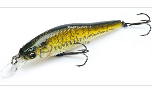 MEGABASS X-80 Trick Darter - Pêche-Leurre-Evolution