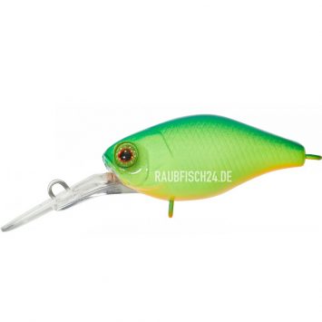 Illex DIVING CHUBBY 38 BLUE BACK CHARTREUSE