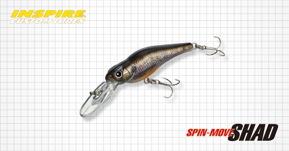 Evergreen Spin-Move Shad