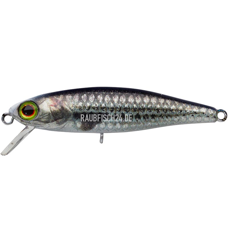 Illex Tiny Fry 50 RT MULLET