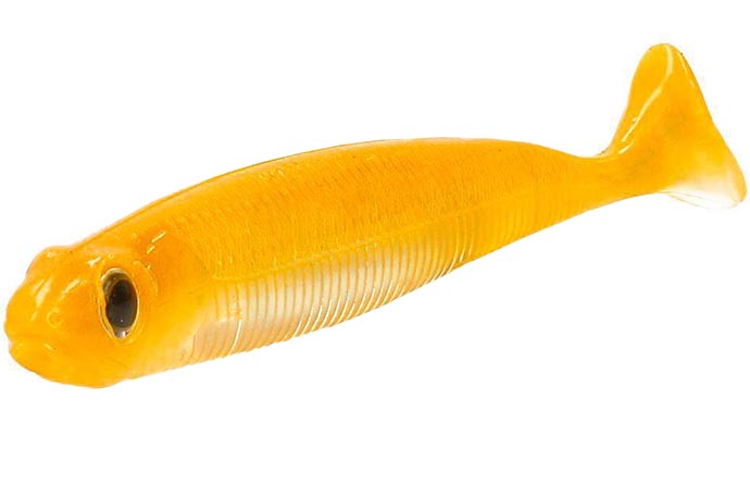 Fish Arrow Flash J Huddle 3