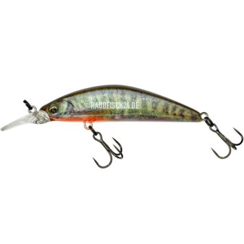 Illex Tricoroll GT 56MD RT Spawning Vairon