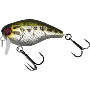 Illex Chubby 41F SSR HL AGGRESSIVE BASS