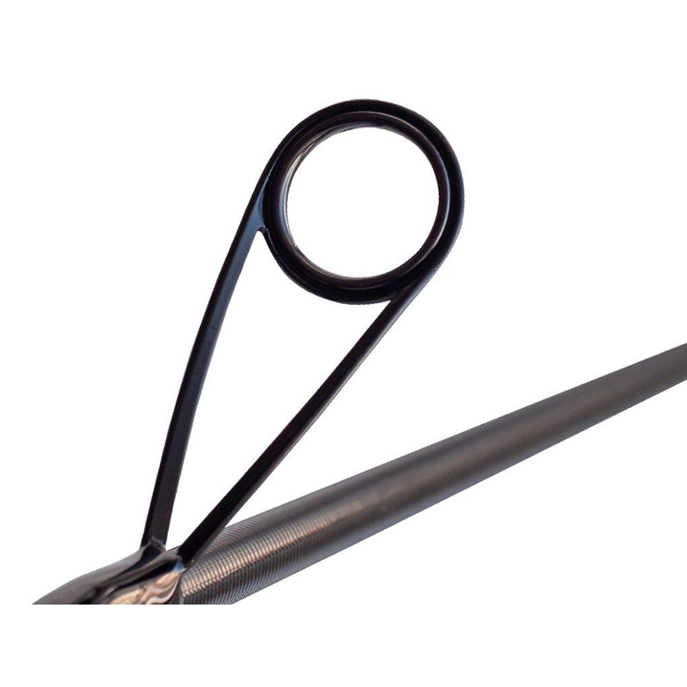 Crazy Fish Arion SE