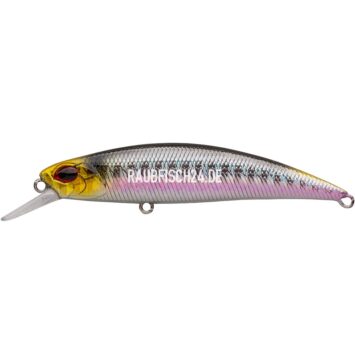 Kosadaka Nota 70F GTD